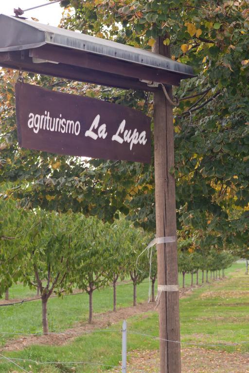 La Lupa